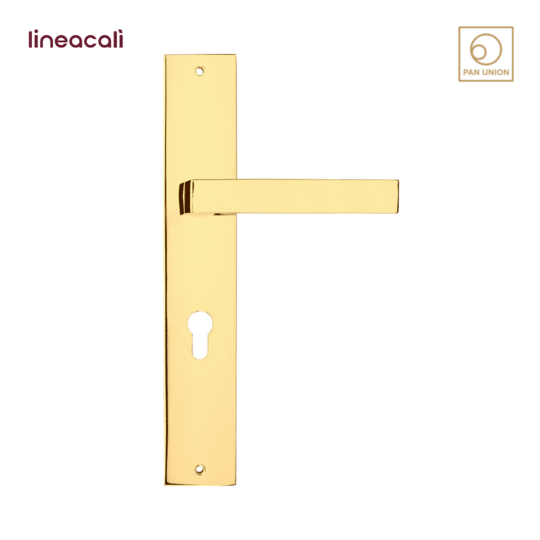 LINEA CALI มือจับประตูแบบก้านโยก รุ่น Zen