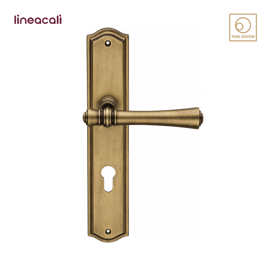 LINEA CALI มือจับประตูแบบก้านโยก มีแพลทยาว รุ่น Aura